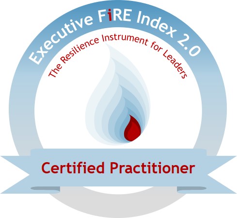 Resilienz Akademie | Executive FiRE Index I 06.-07.06.2024