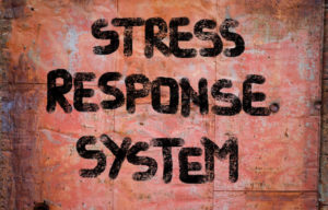 Titel Stress Response system